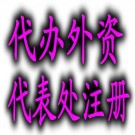 外資公司注冊
